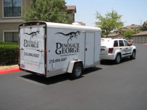 dinosaur george store